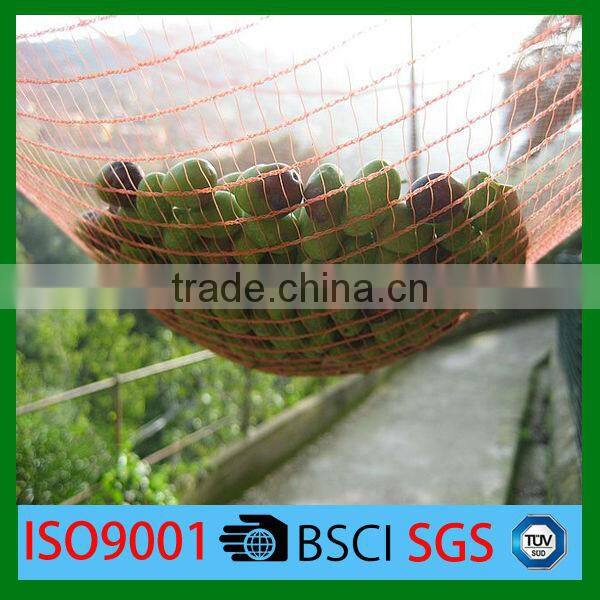 high quality 100% virgin HDPE olive net