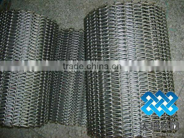 TIANRUI Conveyor Belt wire Mesh with super quality