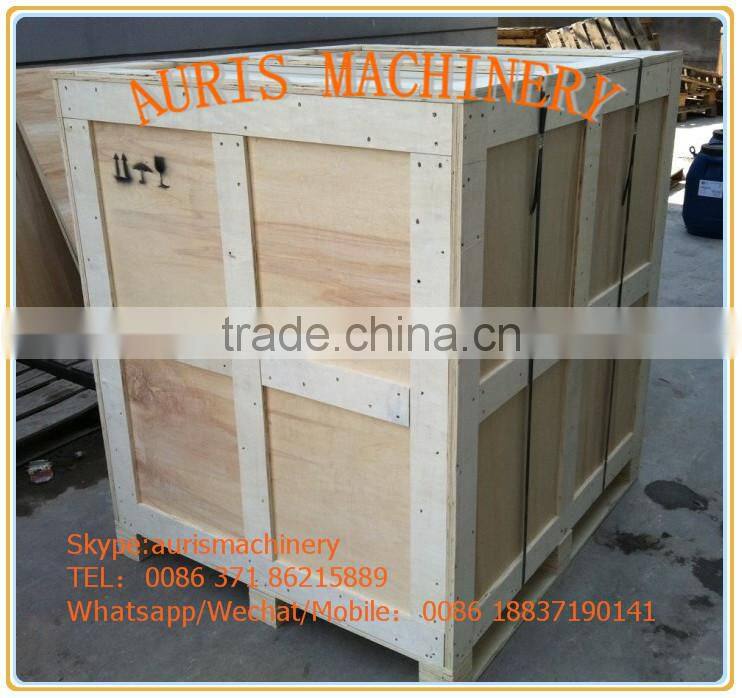 High quality and high efficiency Stainless steel fruit juicer on promotion