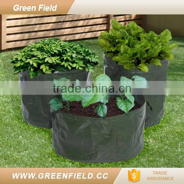 Green Field PE tomato herb planter garden bed 2017 new arrivals