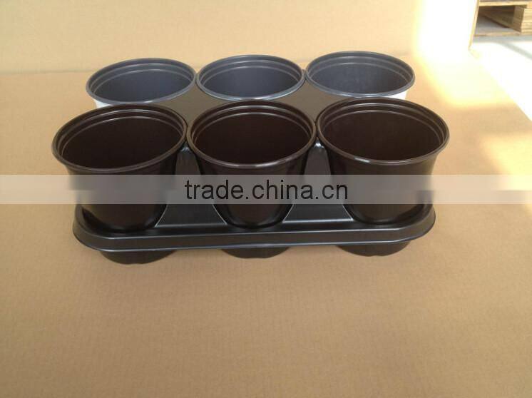6 Pack Carry Tray for 16cm pots / Pot Carry tray