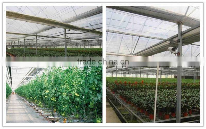 Ecnomic multi span greenhouse with UV film covering