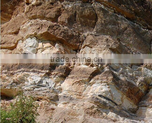 2016 Hot Sale eco-friendly bathroom skid mat Natural diatomite quick water absorption skid pad