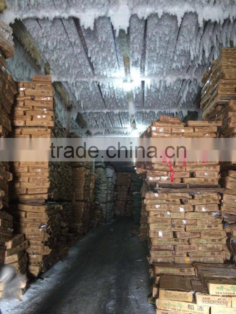 China frozen Mahi Mahi whole round 1-2kgs