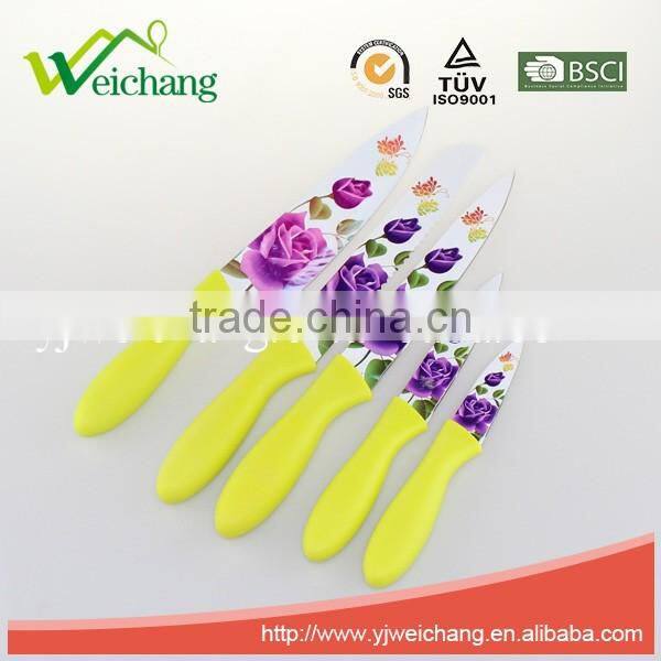 WCE567 5 pcs set Kitchen Knives artwork painting blade PP with TPR handle , hot sale, Wholesale