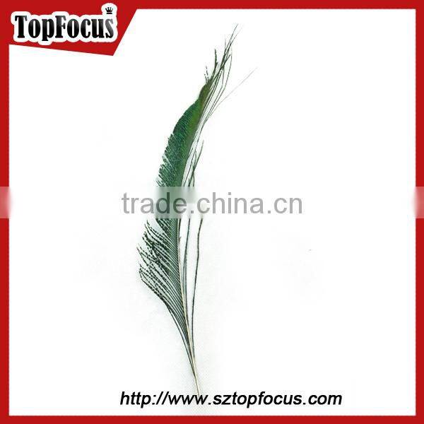 wedding dresses decoration indian wholesale natural peacock feather