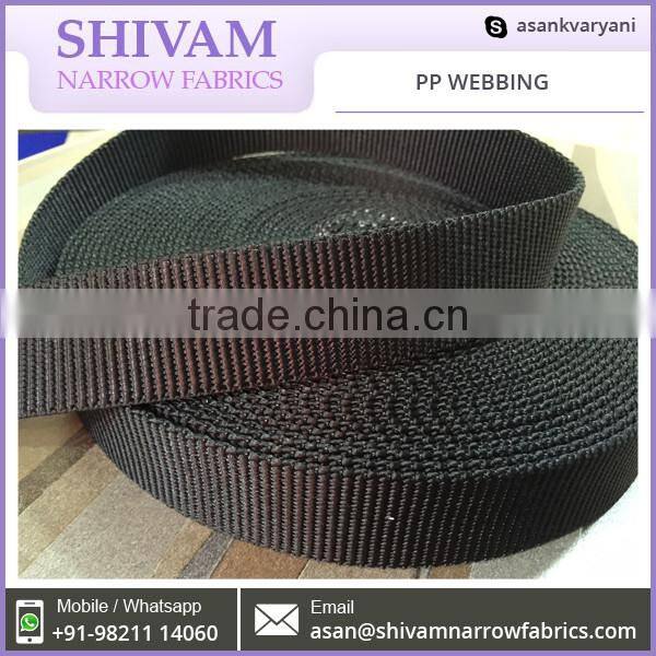 Fine Finishing Premium Quality PP Webbing at Factory Price