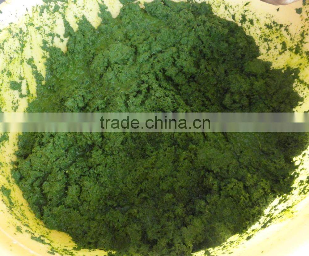 Frozen Cassava Leaf /Frozen cassava Leaves