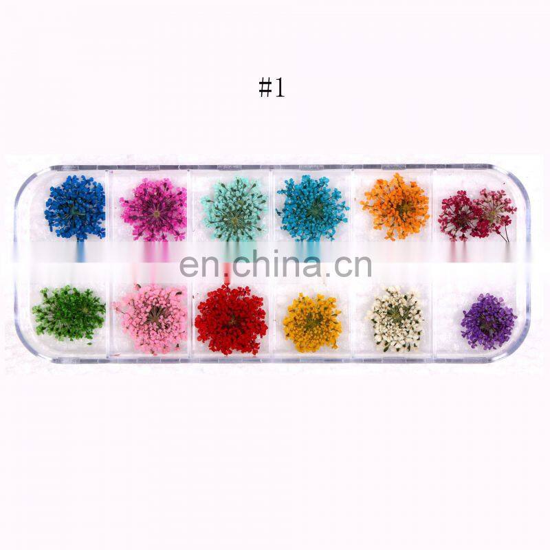 Factory wholesale dry flower nail art for dried flowers sale