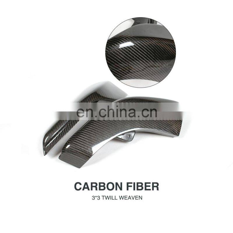 SLK Class Carbon Fiber Front Splitter for Mercedes R171 SLK200 09-10