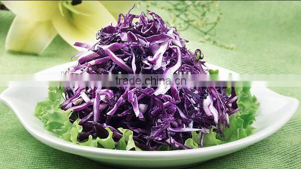 Commercial Multifunctional Vegetable Dicing Machine