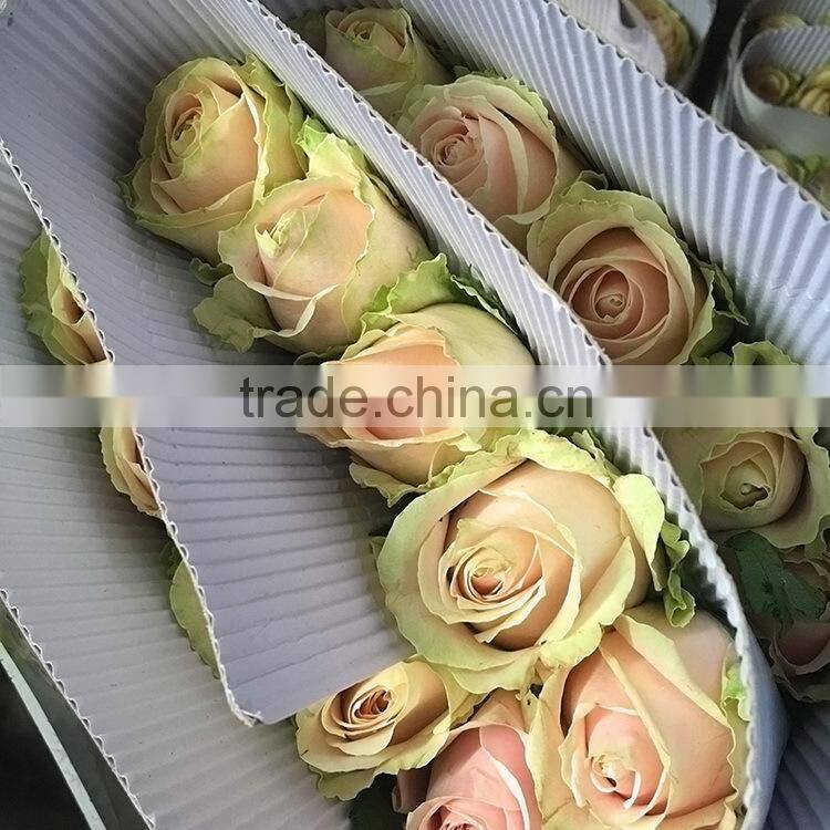 New Pink Avalache flower pink/red artificial roses