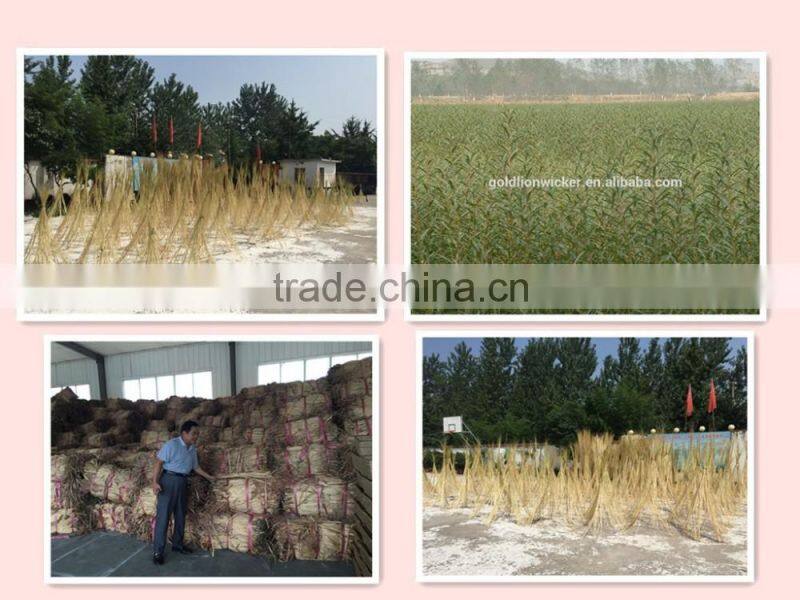 white flower pot,gardening pots for decoration, wholesale plant pots