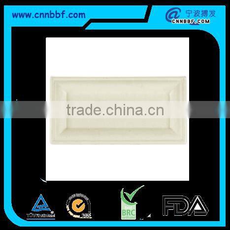 Biodegradable disposable 10'*5' rectangle plate for food packing