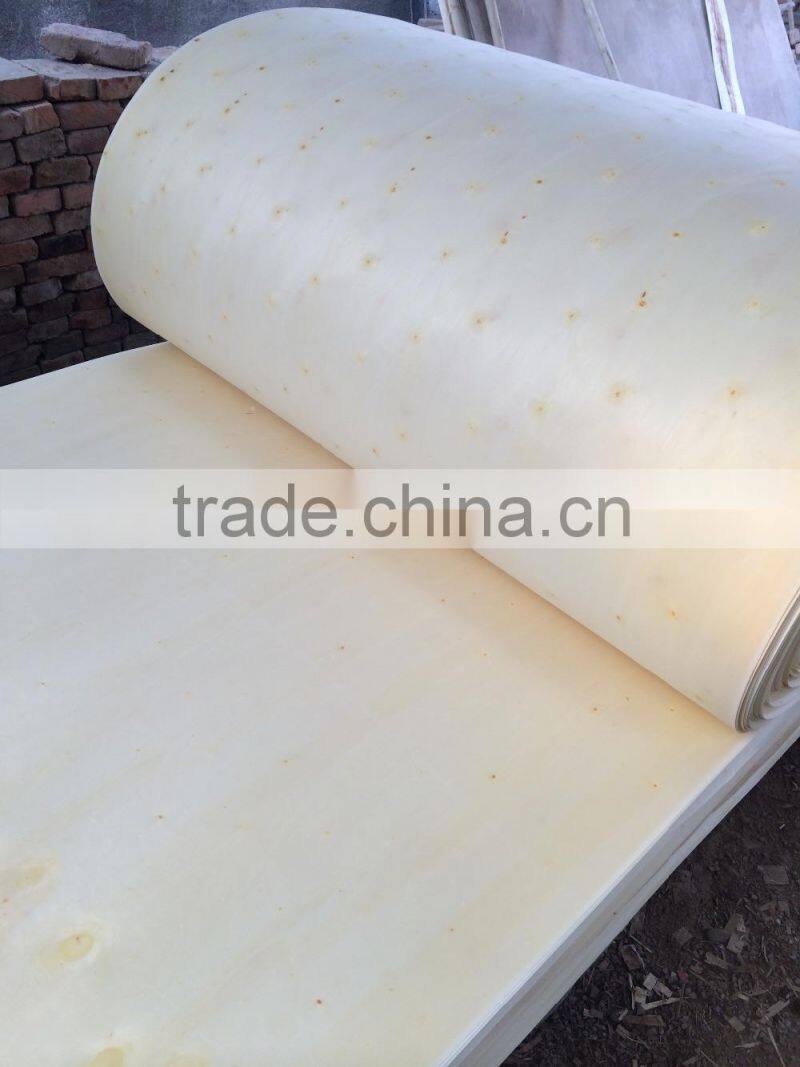 Rotary cut white color poplar wood face veneer with high quanlity Linyi factory manufactures