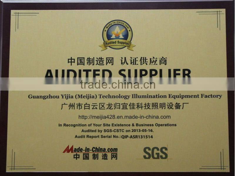 LED Two Eyes Outdoor Wall Washer Light