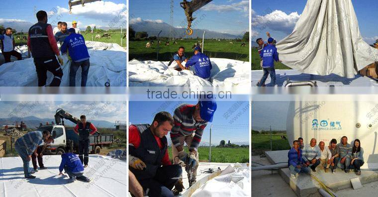 Gas Collector, Biogas Storage Bag Dome For Thailand Biogas Plant