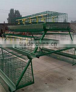 chicken and poultry farming use type poultry farming equipment