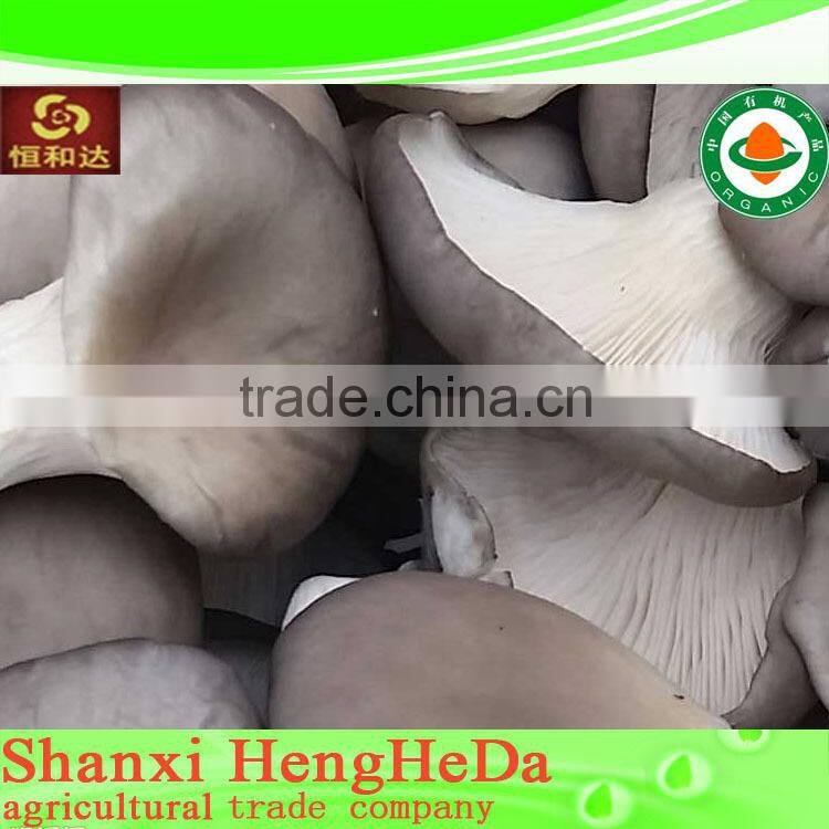 for selling clear to mind dried shiitake mushroom