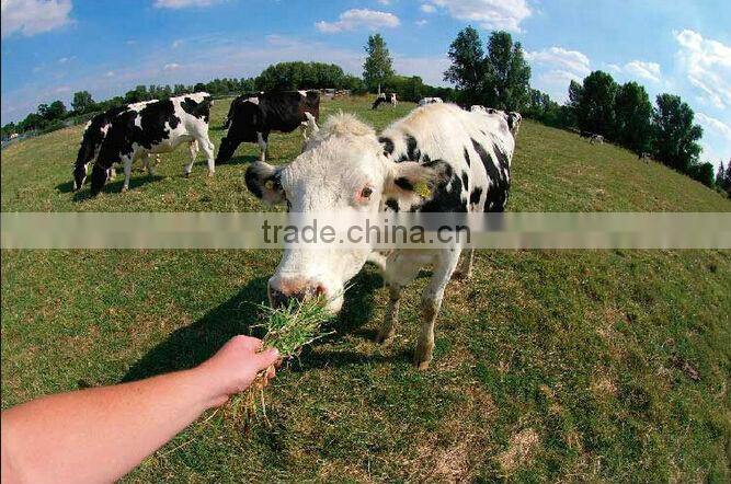 2015 Factory Production 0.4x Super Wide Angle Lens cell phone With case