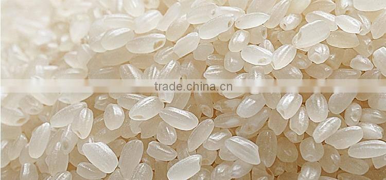 Rice Process Line Producess Artificial Rice