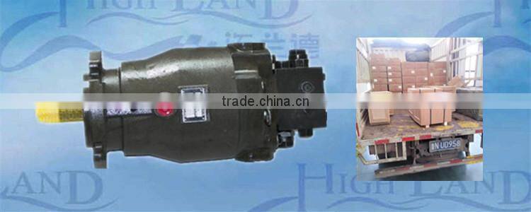 high pressure and high speed hydraulic pump motor