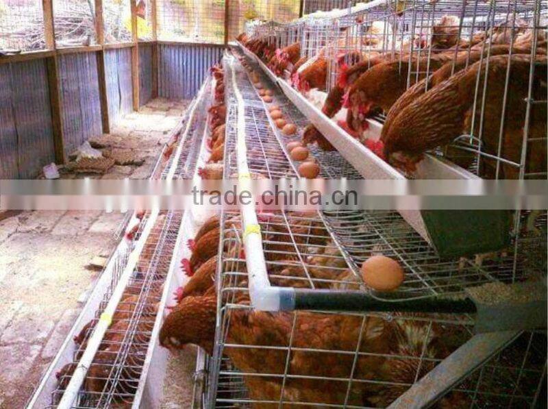 Hot Sale Wire Mesh Layer Egg Chicken Cage