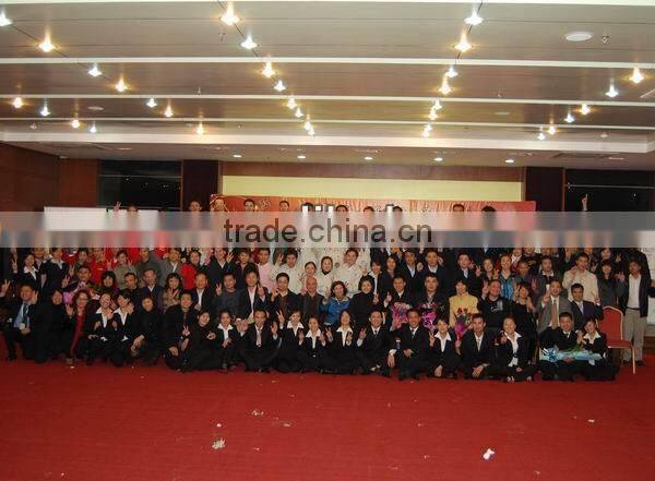 Funny cute owl sticker, owl wall sticker, wall stickers owl