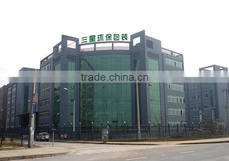 Christmas dinner paper tableware