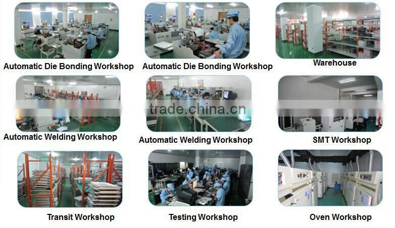 1 inch 1 digit led display,digital display