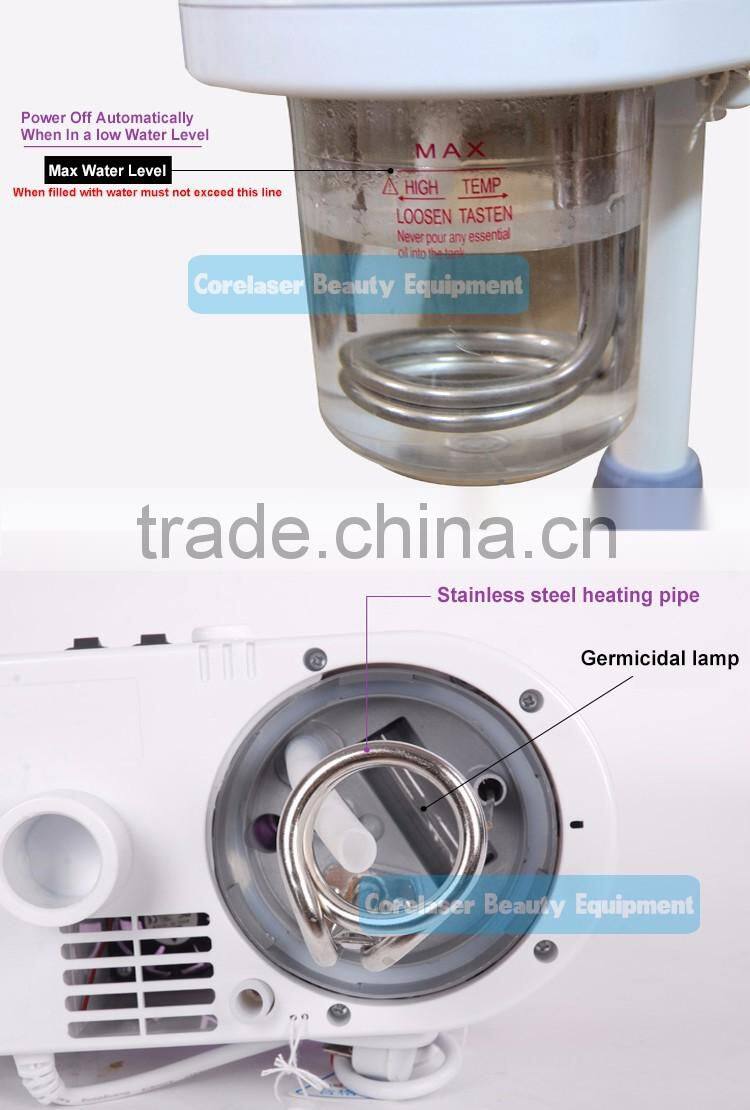 Skin care handheld nano facial spray electric face steamer/ facial steamer