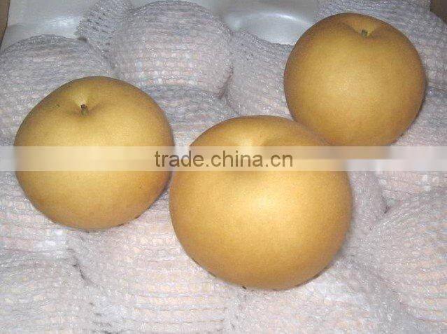 chinese ya pear