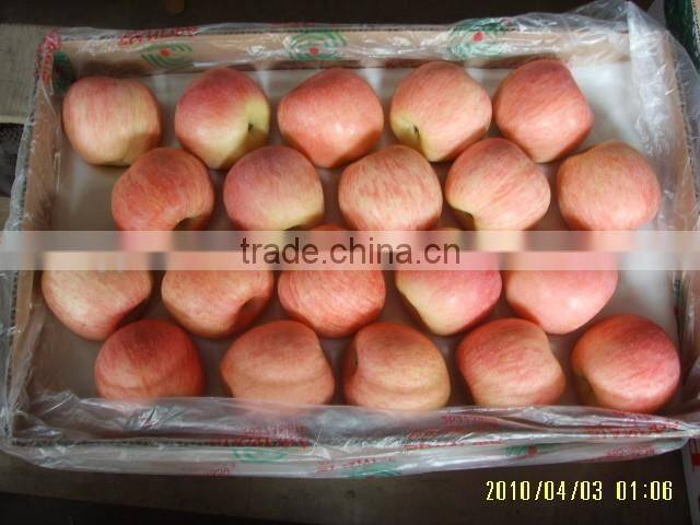 Fuji Apple/Fresh Apples/70MM, 75MM, 80MM,85MM UP