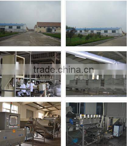 Top quality peanut in shell for market