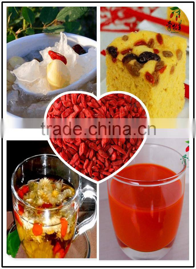 frozen red fresh medlar,goji fruit wolfberry,dried goji berry