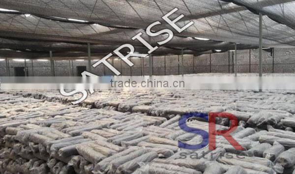 Hot sale from China professional manufacturer shiitake mushroom log