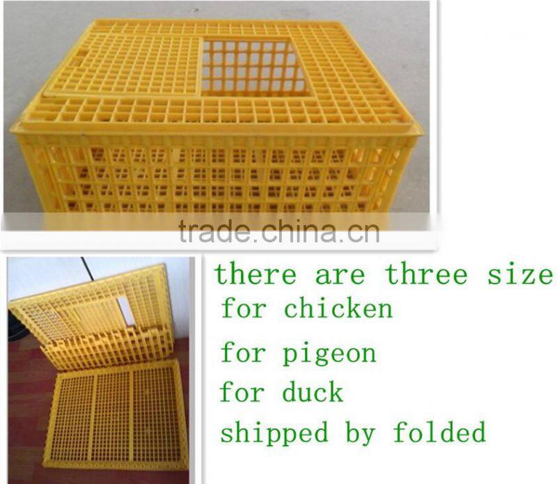 solid plastic cock cage