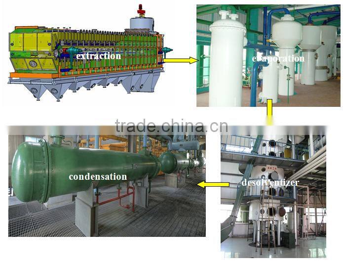 100TPD Dinter rapeseed oil press expeller factory