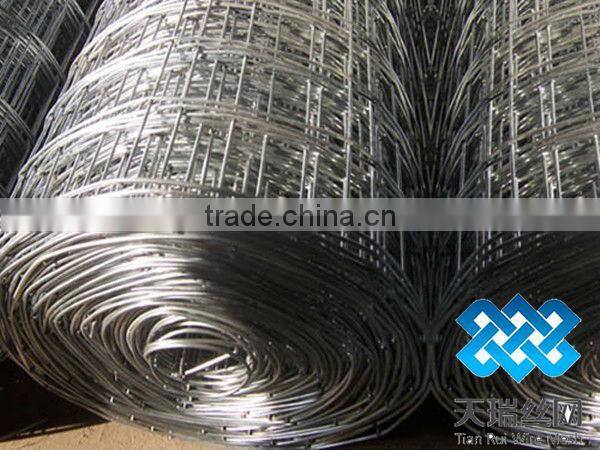 Welded Wire Mesh