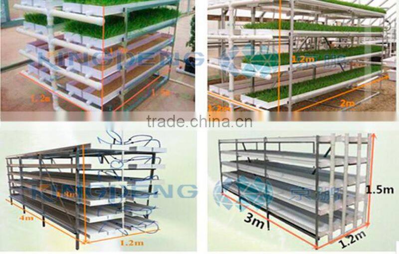 solar & wind powered farm hydroponic fodder system