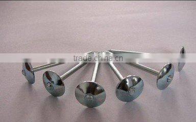 umbrella head roofing nails galvanized surface treatment for construction application