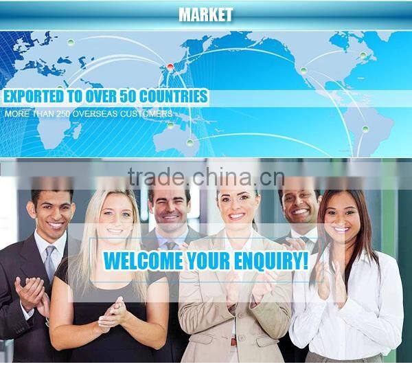 Wholesales or retails acceptable China supplier spray window squeegee
