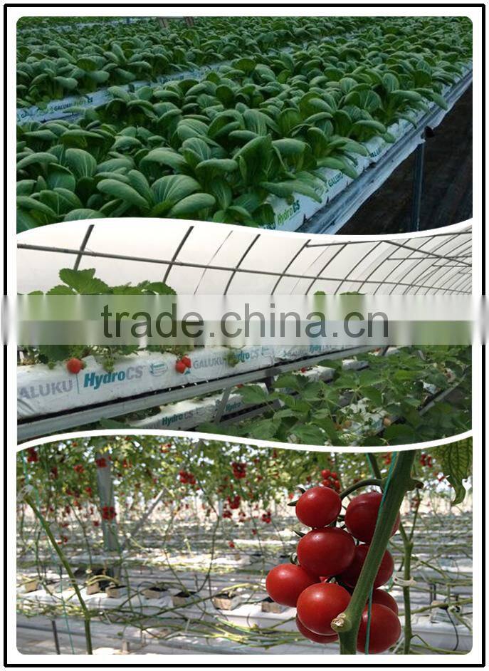 Rock wool grow bag/cube for greenhouse hydroponic