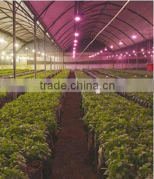 VANQ led flower lights with DR FR white,COB grow led flowering lamp 18w