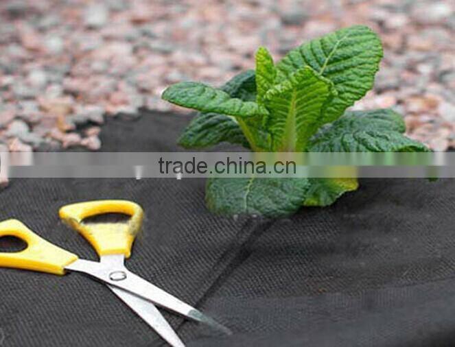 Plant Protector Sheet