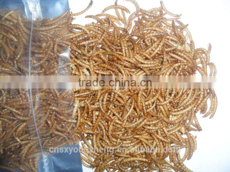 Natural balance pet food supplies mealworms