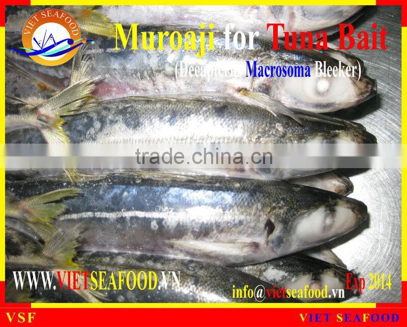 MUROAJI FOR TUNA BAIT FROZEN