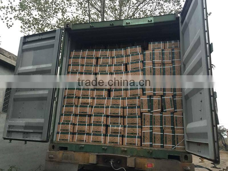 Malleable Iron Thread Pipe Fittings