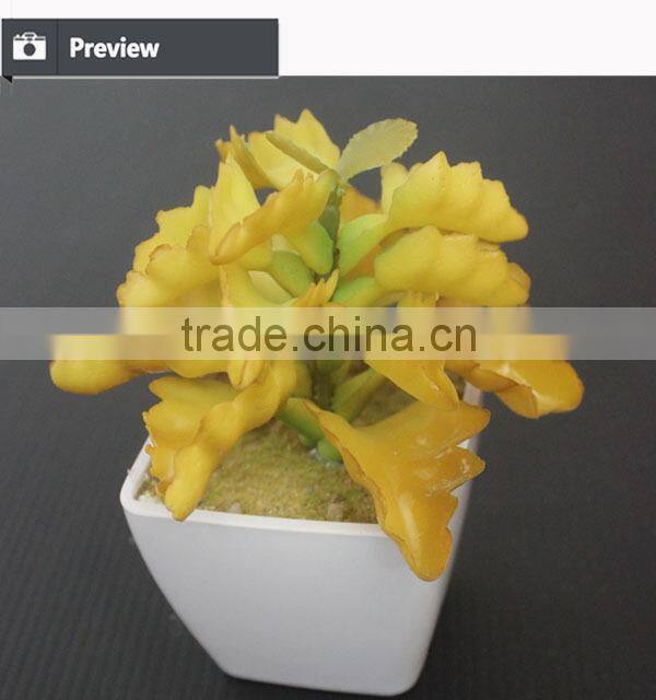 Cheap wholesale artificial succulent plants tropical plants