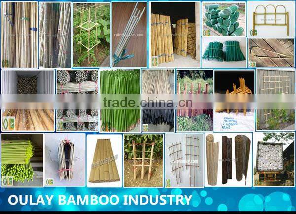 Cheap bamboo canes poles for gardening